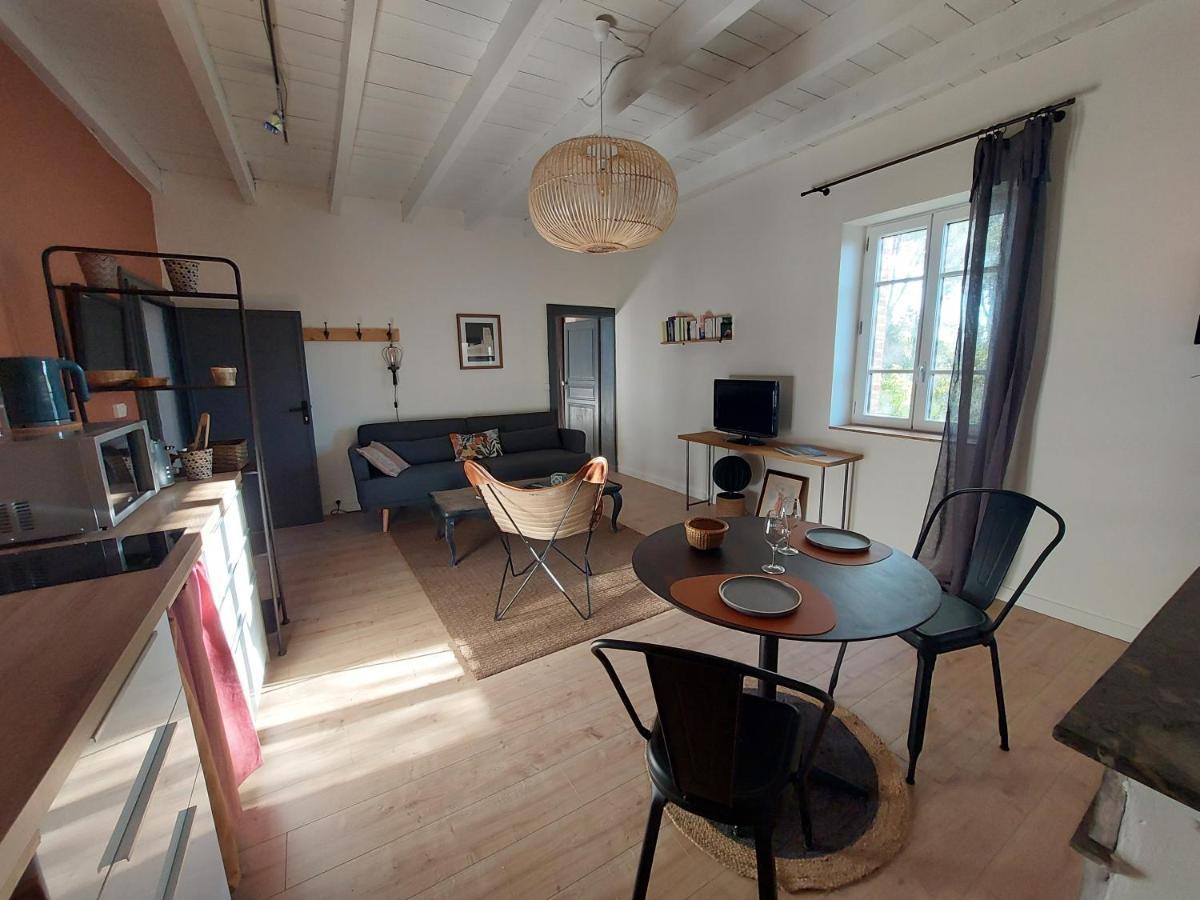 16 Bis-Gite-Hotel-Appartement Marssac-sur-Tarn Kültér fotó